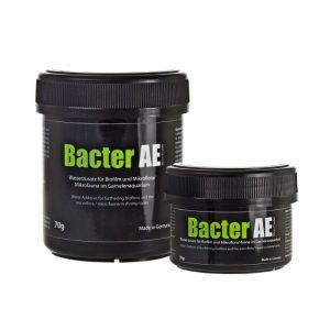 Bacter AE for your freshwater shrimp